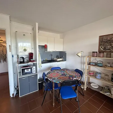 Terrasses D'helios Joli 2 Pieces Climatise Proche Richelieu Et Commerces Cap D'agde 公寓 阿格德